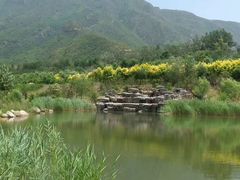 -唐指山风景区