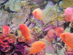 -多彩贵州城极地海洋世界