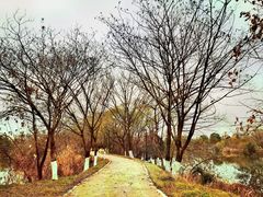 -西溪国家湿地公园