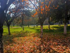 -大明宫国家遗址公园·御道广场