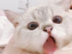 -上海跃迁搬场公司 日式搬家