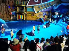 -烟台海昌鲸鲨海洋公园