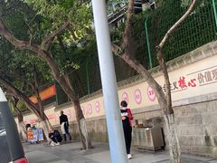 -南山植物园