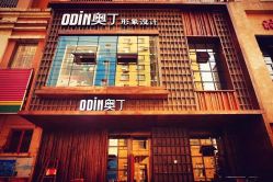 -ODIN 奥丁形象设计 