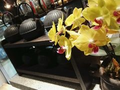 -BeauTea水仙(coco park店)