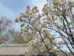 -潭柘寺景区