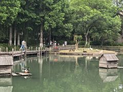 -乌村