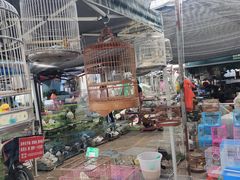 -中环花鸟鱼虫市场