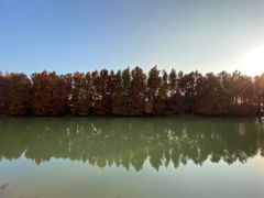 -上海海湾国家森林公园