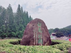-紫金山山顶公园