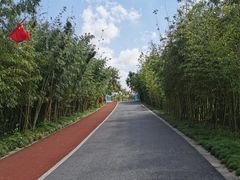 -上海长兴岛郊野公园