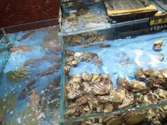水产区-吉莲利苑海鲜酒家(珠海拱北28年老字号店)
