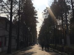 -万寿斋(山阴路店)