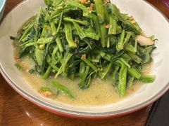-荷花泰菜(东方新天地店)