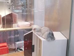 -狗道宠物(常熟印象城店)