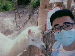 -汕尾铜鼎山旅游区
