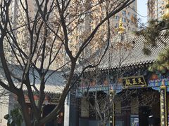 -护国法轮寺