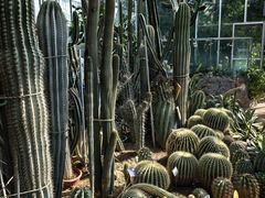 -国家植物园南园