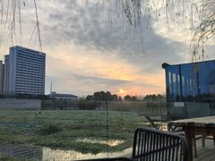 -洋湖国家湿地公园