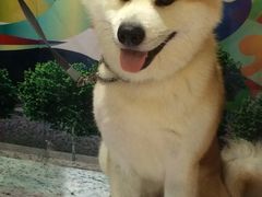 iphone_upload_pic-东浩兰生上海世博展览馆