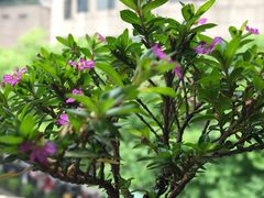 -乌江鱼杭帮菜(西湖店)