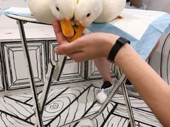 -白夜2D咖啡馆
