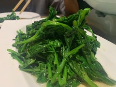 清炒豌豆尖-渝信川菜(西单店)