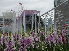 景点-海心沙亚运公园