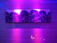 -宝乐星量贩KTV(莲升路店)