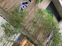 -柴务处·柴犬主题狗咖