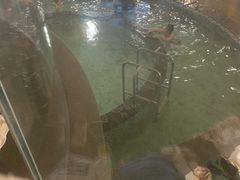 -嘉佑温泉水世界