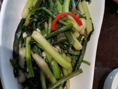 清炒菜苔-刘胖子家常菜·蹄花焖藕(中南店)