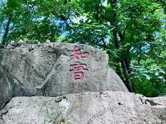 -秦岭终南山世界地质公园翠华山景区