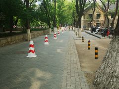 -山东大学(趵突泉校区)