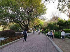 -东风公园