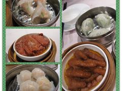 -楚灶王(徐东店)