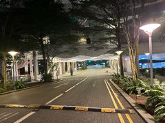 -新加坡柏薇罗切斯特酒店