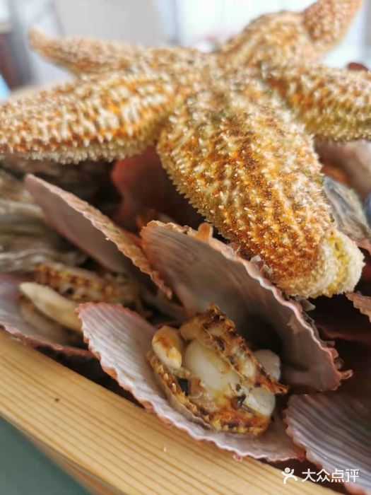 遇见青岛海鲜扇贝图片