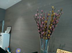 android_upload_pic-恒沙廊