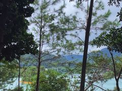 -广州市流溪河国家森林公园