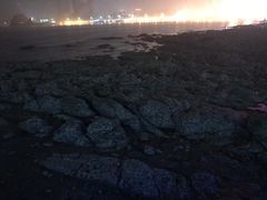 景点-栈桥景区