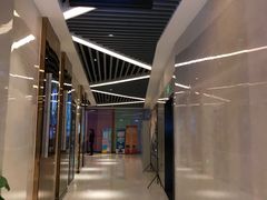 -中影嘉华国际影城(大芬星都里店)