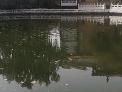 -新川办餐厅