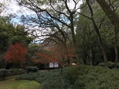 景点-武夷山风景名胜区-虎啸岩