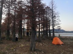 -四明湖