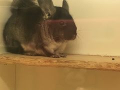 -龙猫仔乐园(惠福东路店)