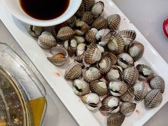 血蛤-华盛丰温州大排档(东三环南路店)