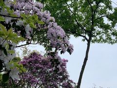 -庐山西海主景区