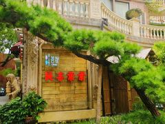 -叶叶菩提(太原别墅店)