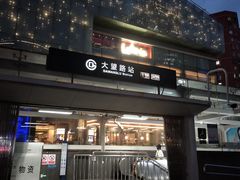 -大望路(地铁站)